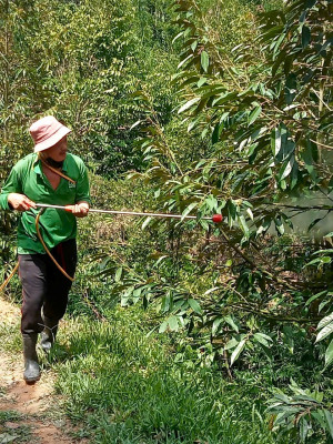 QUYẾT ĐỊNH 26 – THÊM NGUỒN LỰC ĐỂ HỘ CÓ MỨC SỐNG TRUNG BÌNH PHÁT TRIỂN KINH TẾ, ỔN ĐỊNH CUỘC SỐNG