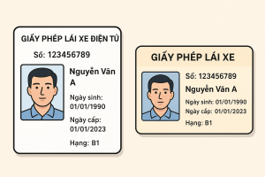GPLX