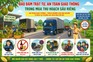 BẢO ĐẢM TRẬT TỰ, AN TOÀN GIAO THÔNG  TRONG MÙA THU HOẠCH SẦU RIÊNG
