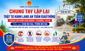 Lập lại trật tự hành lang an toàn giao thông chợ Bù Na