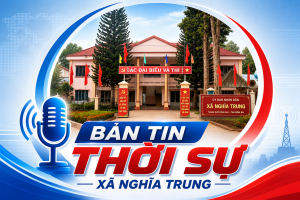 Bản tin số 31 tuần 30 năm 2026