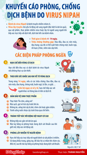 Dịch bệnh do vi rút Nipah và cách phòng chống dịch