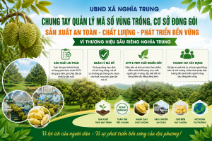 Tiếp tục tăng cường quản lý mã số vùng trồng, bảo đảm an toàn thực phẩm và phát triển bền vững ngành hàng sầu riêng trên địa bàn xã Nghĩa Trung