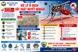 Phòng chống sốt xuất huyết - Bảo vệ chính bản thân và gia đình