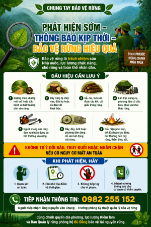 Tăng cường công tác bảo vệ tài nguyên rừng