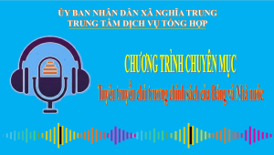 Chính sách của Đảng và Nhà nước