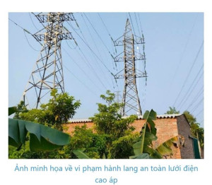 Luật Điện lực số 61/2024/QH15