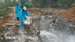 Nha Bích triển khai các biện pháp phòng, chống dịch bệnh Dịch tả lợn Châu Phi