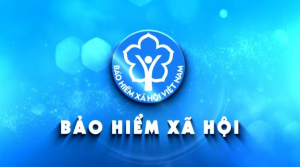 Bảo hiểm