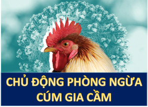 Các biện pháp phòng ngừa dịch bệnh Cúm gia cầm