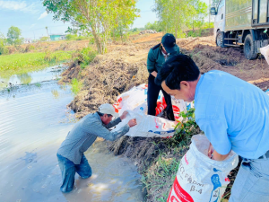 260kg cá giống được thả tại Hồ Phước Hoà