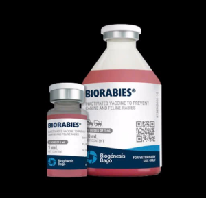 Xã Nha Bích thực hiện tiêm Vắc xin phòng, chống bệnh Dại động vật  theo hình thức xã hội hóa