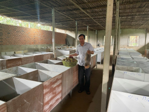 Nông dân Nha Bích phát huy hiệu quả mô hình nuôi dúi