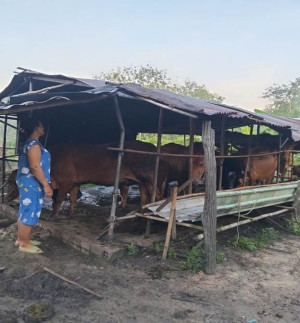 Hội Liên hiệp Phụ nữ xã Nha Bích hỗ trợ hội viên tiếp cận nguồn vốn giải quyết việc làm, phát triển kinh tế