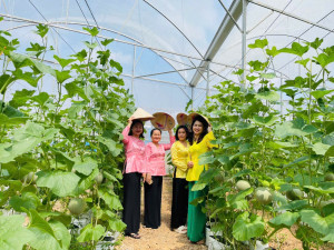 Nông dân Nha Bích sử dụng hiệu quả từ nguồn vốn vay NHCSXH Chơn Thành