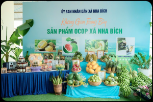 Nha Bích tạo đà bứt phá: Bức tranh phát triển giai đoạn 2021–2025 và tầm nhìn chiến lược đến năm 2030