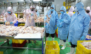 XÃ NHA BÍCH: "THỰC HIỆN KIỂM DỊCH, KIỂM SOÁT GIẾT MỔ ĐỘNG VẬT BẢO ĐẢM AN TOÀN DỊCH BỆNH, AN TOÀN THỰC PHẨM DỊP TẾT NGUYÊN ĐÁN BÍNH NGỌ VÀ LỄ HỘI XUÂN NĂM 2026 TRÊN ĐỊA BÀN XÃ"