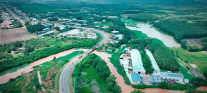SẮC XUÂN VỀ TRÊN QUÊ HƯƠNG NHA BÍCH