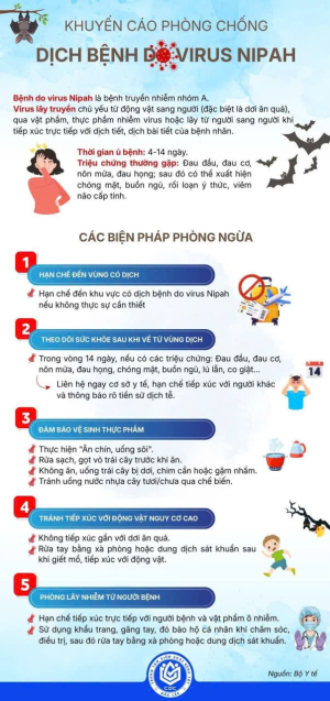 Tìm hiểu về Vi rút Nipah