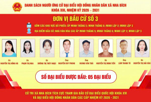 CHƯƠNG TRÌNH HÀNH ĐỘNG CỦA CÁC ỨNG CỬ VIÊN KHU VỰC BẦU CỬ SỐ 3