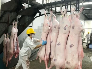 Xã Nha Bích thành lập Đoàn kiểm tra liên ngành trong lĩnh vực nông nghiệp năm 2026