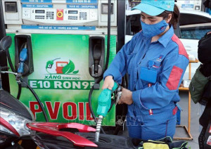 Xăng sinh học E10 mang ý nghĩa kinh tế và môi trường
