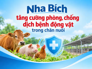 Nha Bích tăng cường phòng, chống dịch bệnh động vật trong chăn nuôi