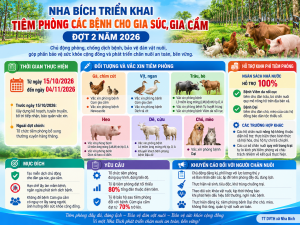 Nha Bích triển khai tiêm phòng các bệnh cho gia súc, gia cầm đợt 2 năm 2026