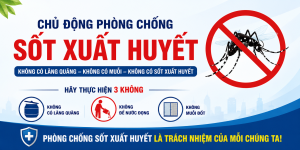 Bản tin tuyên truyền phòng chống sốt xuất huyết trên địa bàn xã Nha Bích