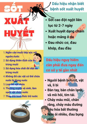 Thông điệp phòng chống sốt xuất huyết