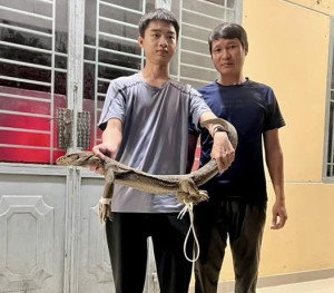 Công an xã tiếp nhận 01 cá thể động vật hoang dã quý hiếm do người dân giao nộp docx