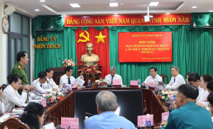 Đảng bộ xã Nhơn Trạch thực hiện đạt và vượt 16 chỉ tiêu...