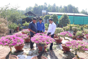 Hội Nông dân Nhơn Trạch đạt và vượt 100% chỉ tiêu được giao, lan tỏa sâu rộng các phong trào nông dân