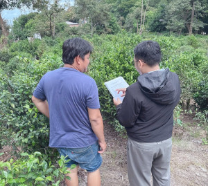 Hội Nông dân đồng hành giúp hội viên tiếp cận hiệu quả nguồn vốn chính sách docx