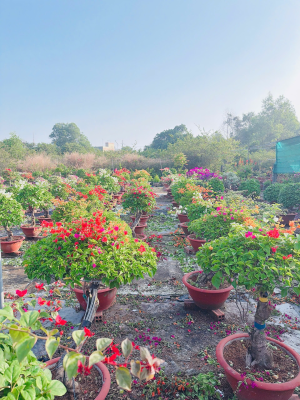 PHÁT HUY HIỆU QUẢ NGUỒN VỐN QUỸ HỖ TRỢ NÔNG DÂN TRONG PHÁT...