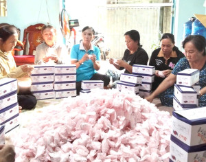 Phụ nữ Nhơn Trạch tự chủ kinh tế, nền tảng vững chắc cho...