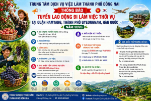 TUYỂN DỤNG NHẬT