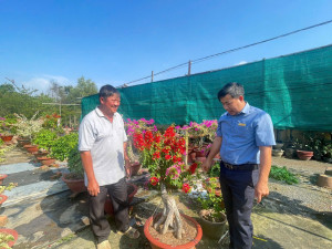 Tổ hợp tác Trồng và kinh doanh hoa, cây cảnh Phú Hội - Điểm sáng liên kết phát triển kinh tế của Hội Nông dân phường
