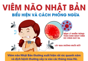 Phường Nhơn Trạch ghi nhận 01 trường hợp mắc viêm não Nhật Bản