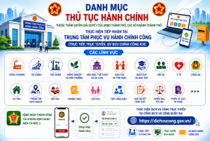 Cấp tỉnh thành phố