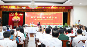 HĐND thành phố Đồng Nai thông qua chủ trương đầu tư dự án tạo lập quỹ đất khoảng 358 ha tại phường Nhơn Trạch