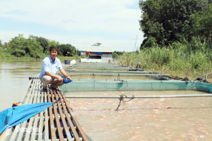 Đại gia nuôi cá nước ngọt ở tỉnh công nghiệp