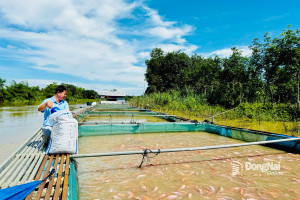 Nuôi thủy sản giữ đà tăng trưởng cao