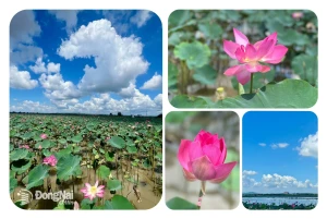 Phú Hòa - Đến là yêu!