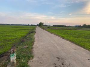 (PH)Phát triển sản xuất nông nghiệp theo hướng xanh, sinh thái, tuần hoàn, gắn với chuỗi giá trị giai đoạn 2025 - 2030