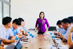 Lãnh đạo tỉnh kiểm tra công tác phòng chống thiên tai tại xã Phú Vinh, Phú Hòa