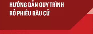 Hướng dẫn quy trình bỏ phiếu bầu cử