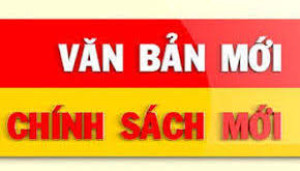 VB mới