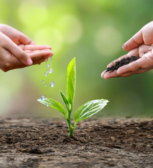 Nâng cao ý thức, chung tay bảo vệ môi trường, sức khỏe cộng đồng