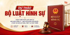 Góp ý Dự thảo Bộ luật hình sự (sử đổi) qua ứng dụng VNeID